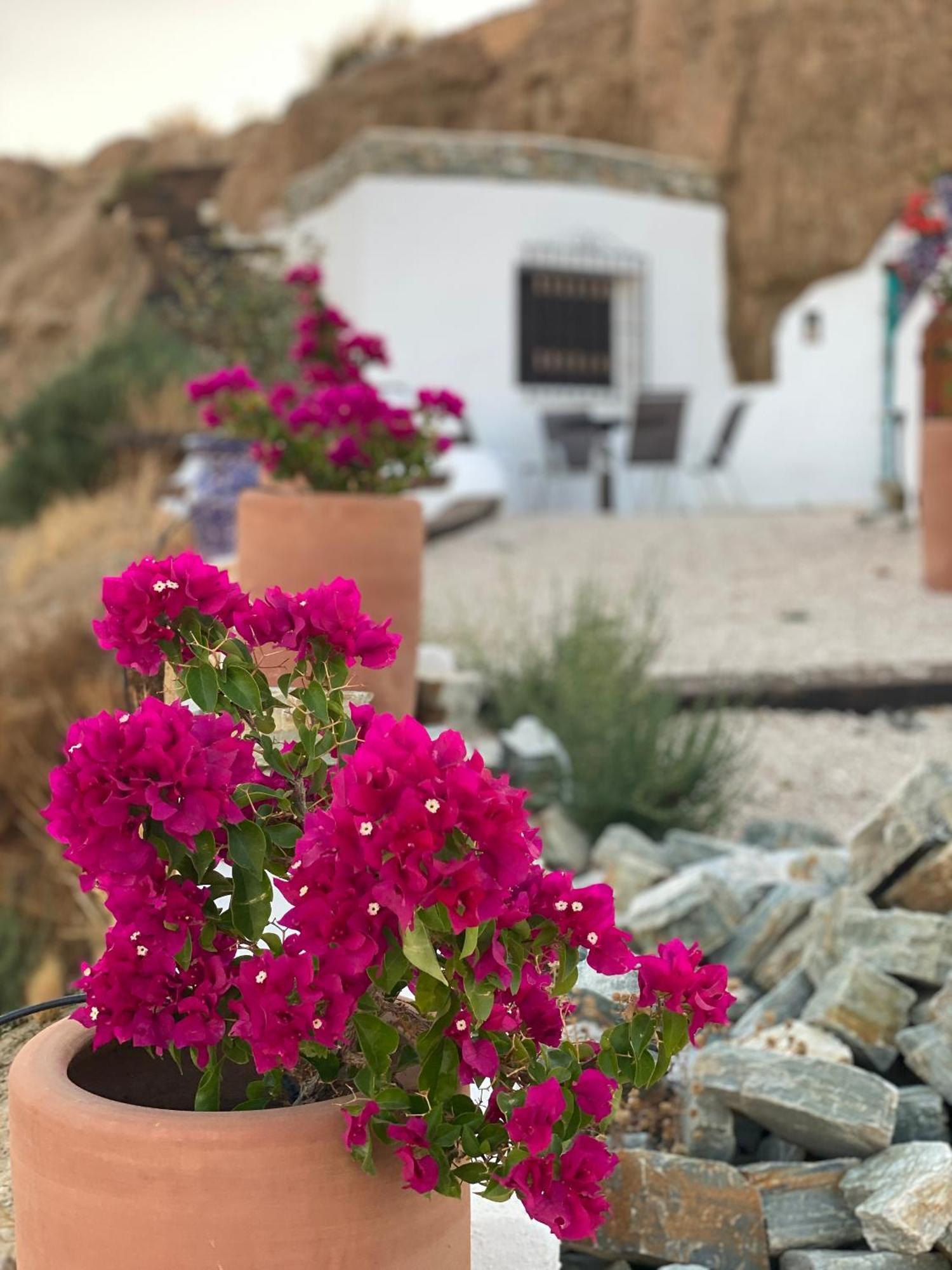 Cuevas Oro Y Arcilla Villa Guadix Kültér fotó